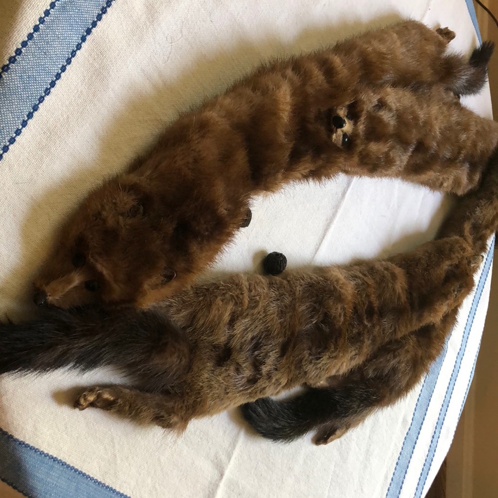 Vintage 1930s Mink Scarf